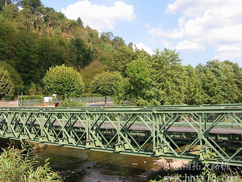 Bailey-bridge-case-appreciation