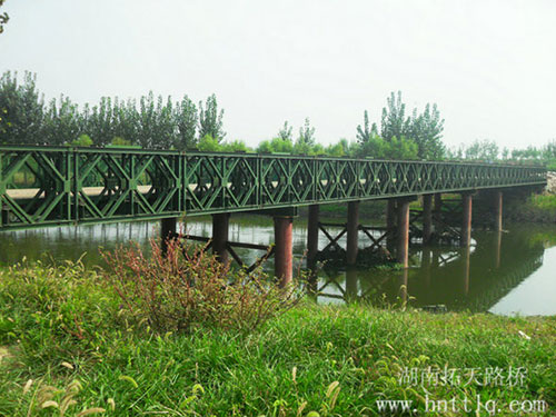 Bailey-bridge-case