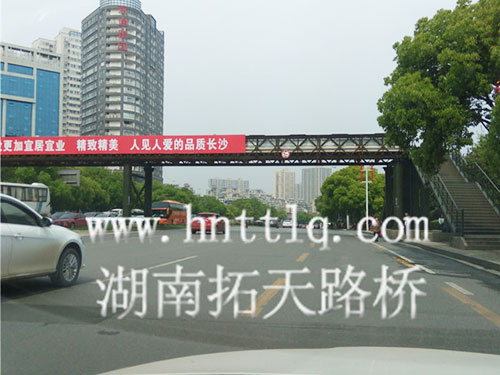 The-pedestrian-bridge