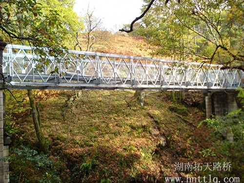 Bailey-bridge-(4)